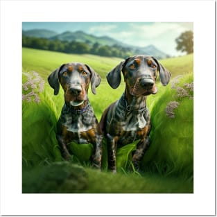 German Shorthaired Pointer Puppies Posters and Art